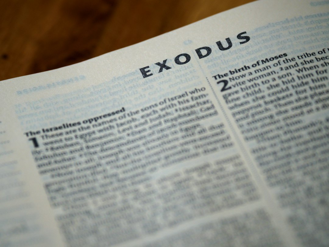 The Expulsion Decision
