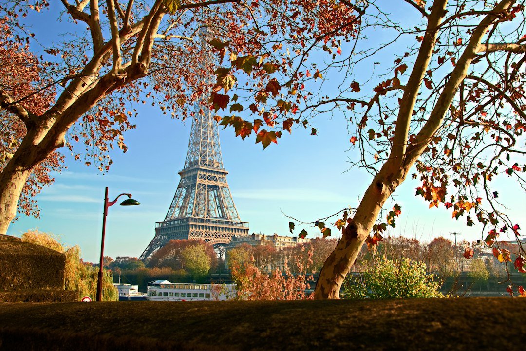 International Flavour in Paris