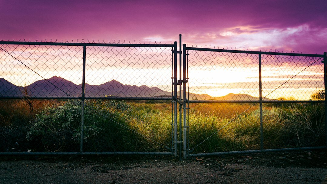 A Divided Landscape: Security Versus Access