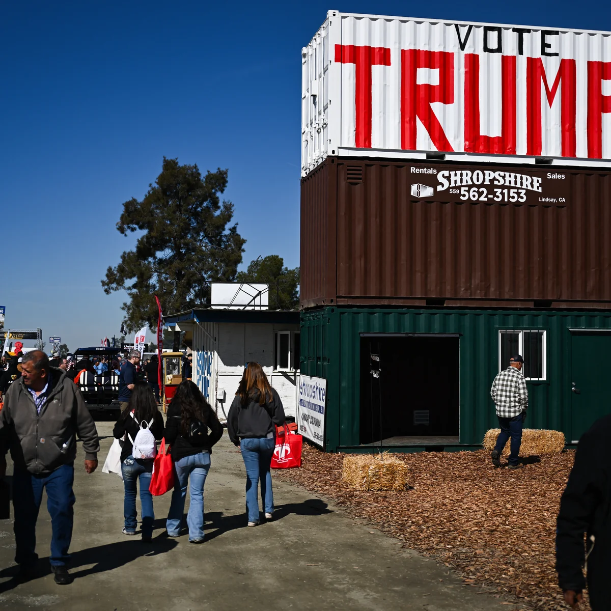 Voter Disillusionment Meets Electoral Reality
