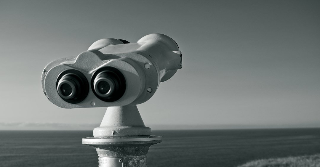 Looking Ahead