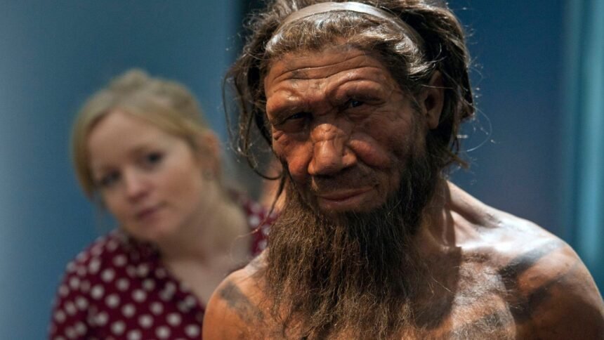 skynews-neanderthal-natural-history-museum_7377847
